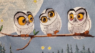 Процесс одного дня