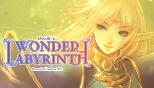 Deedlit in Wonder Labyrinth Record of Lodoss War