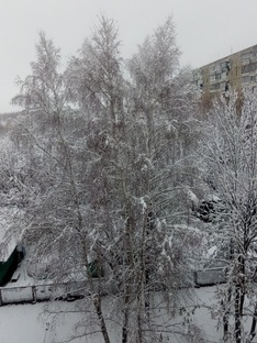 Зима: приметы на каждый день 