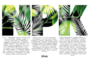 Грунты, субстраты, удобрения