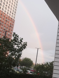 красота 
