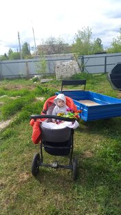 Мечты о фермерстве