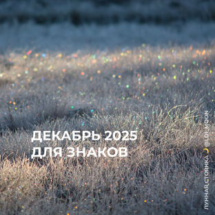 Декабрь 2025: прогноз для знаков