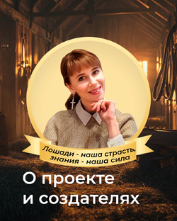О создателях проекта