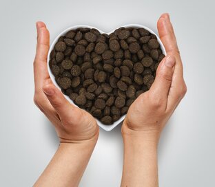 Принципы правильного кормления кошек и собак