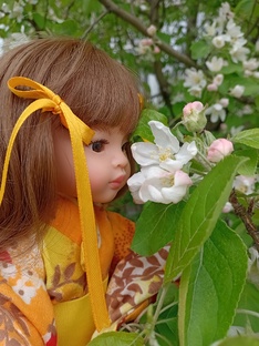 Кукло-диета 2:0