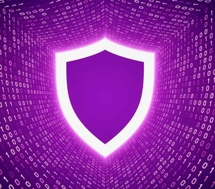 ЗАЩИТА В ИНТЕРНЕТЕ