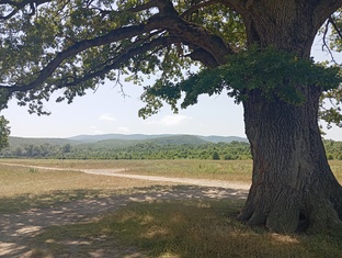 Абинская ривьера