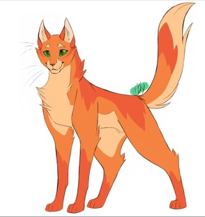 Клипы коты воители