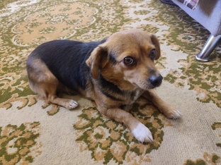 доброта спасет мир 