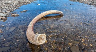 Интересные факты