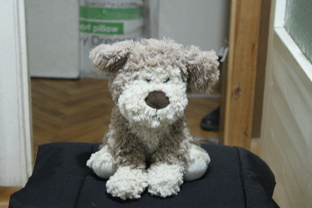 К нам новая книжка идет