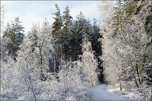 Время холода