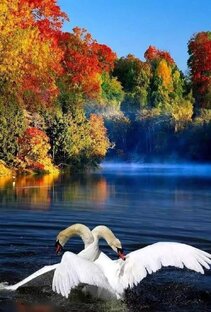 Природа.