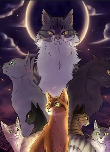 Коты воители❤️