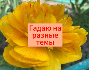 Гадаю на разные темы.