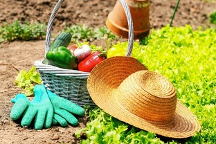 Летние советы