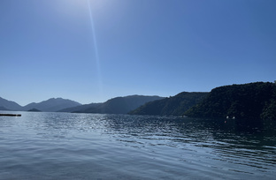 Курортная недвижимость 