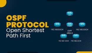 OSPF