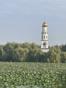 Красота мира