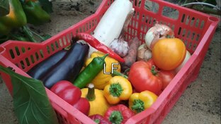 Заготовки на зиму. Консервация из овощей.