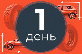 Цифра месяца