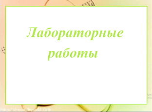 Лабораторные работы 8 класс