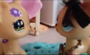 Lps сериал: Непохожие близняшки 