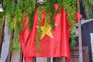 Вьетнамская кухня