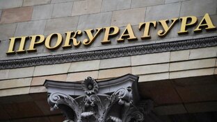 Прокурорский надзор в РФ 