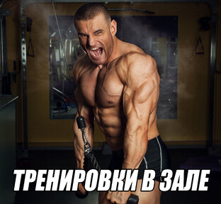 Тренировки в зале