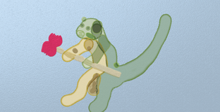 Куклы Ирминсуля Ли Юэ