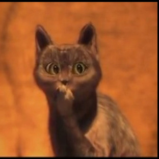 Посты-рассуждения