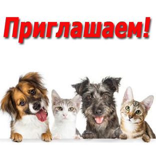 Наш телеграм канал