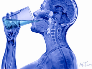 Главное о воде