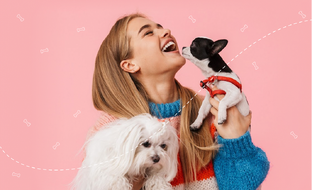 Как научить собаку