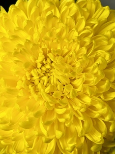 ГОРОСКОП НОЯБРЬ ПО ЗНАКАМ ЗОДИАКА 💛 АИДА ЛЕМАР