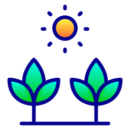 Как выращивать