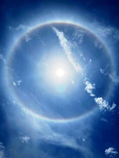 Библия Родаруса. 69. Послание к Колоссиянам апостола Павла. 4 видео. 