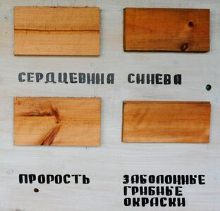 Материал: Древесина