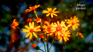 Красивая музыка и стихи