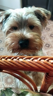 Просто весело...)))