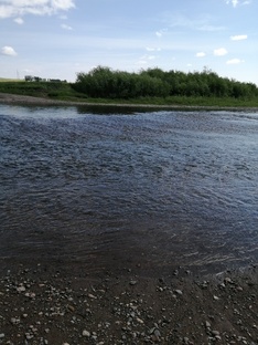 Видео с поиском