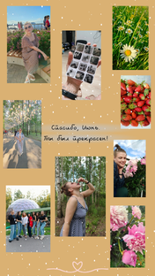 Влоги