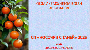 СП "Носочки с Таней 2025