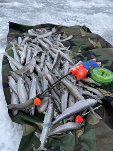 🎣🎣КОРЮШКА🎣🎣