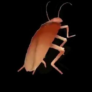 Аниме середняк