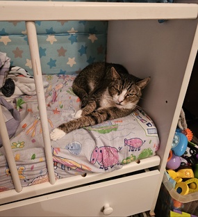 Давайте вместе улыбнемся