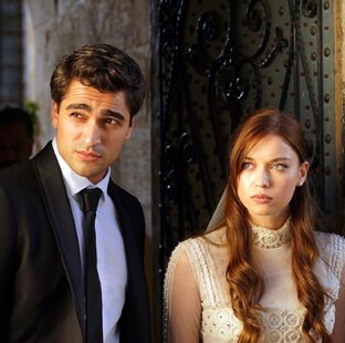 Сериал Зимородок