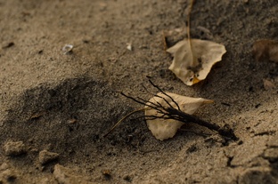 Изменения в мире